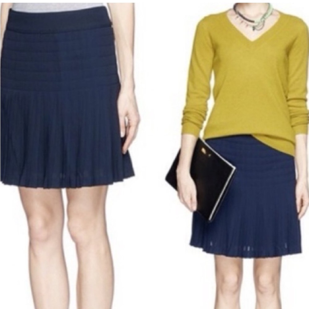 J. Crew Navy Pleated Lattice Skirt